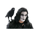  The Crow (Rooftop) Gallery Diorama