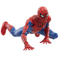 Hasbro Fans Marvel Legends: The Spectacular Spider-Man Action Figure (F6697)