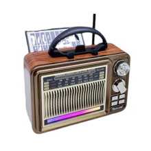 Rechargeable Radio with Solar Panel  RX-307SD